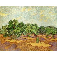 Olive Grove: Pale Blue Sky Painting Reproduction