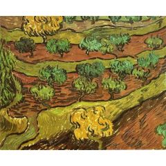 Olive Trees against a Slope of a Hill Painting Reproduction