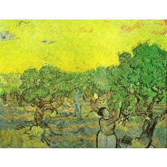 Olive Grove with Picking Figures Painting Reproduction