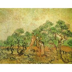 Olive Picking Painting Reproduction