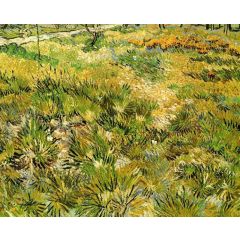 Meadow in the Garden of Saint-Paul Hospital Painting Reproduction