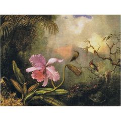 Cattleya Orchid with Two Hummingbirds Painting Reproduction