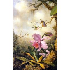 Hummingbirds and Orchids Painting Reproduction