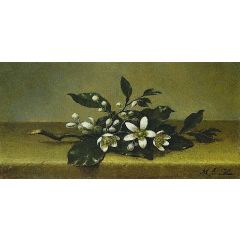 Branch of Orange Blossoms Painting Reproduction