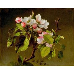 A Branch of Apple Blossoms and Buds Painting Reproduction