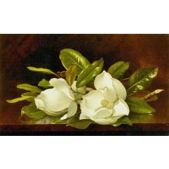 Magnolias on a Wooden Table Painting Reproduction