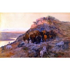 Buffalo Herd at Bay Painting Reproduction