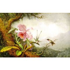 Hummingbirds and Orchids Painting Reproduction