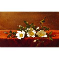 Cherokee Roses Painting Reproduction