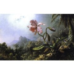 Two Hummingbirds with an Orchid Painting Reproduction