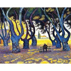Plane Trees, Place des Lices, Saint-Tropez, Opus 242 Painting Reproduction