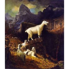 Rocky Mountain Goats Painting Reproduction