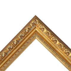 Ornate Classical Frame (7019-101-G)