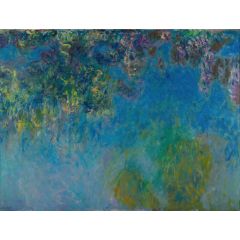 Wisteria 1925