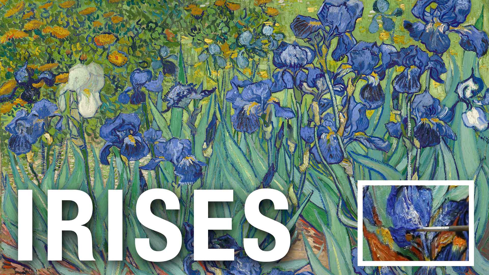 Irises | Hand Painted Art Reproduction Video